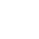 icon 17459653798464.webp